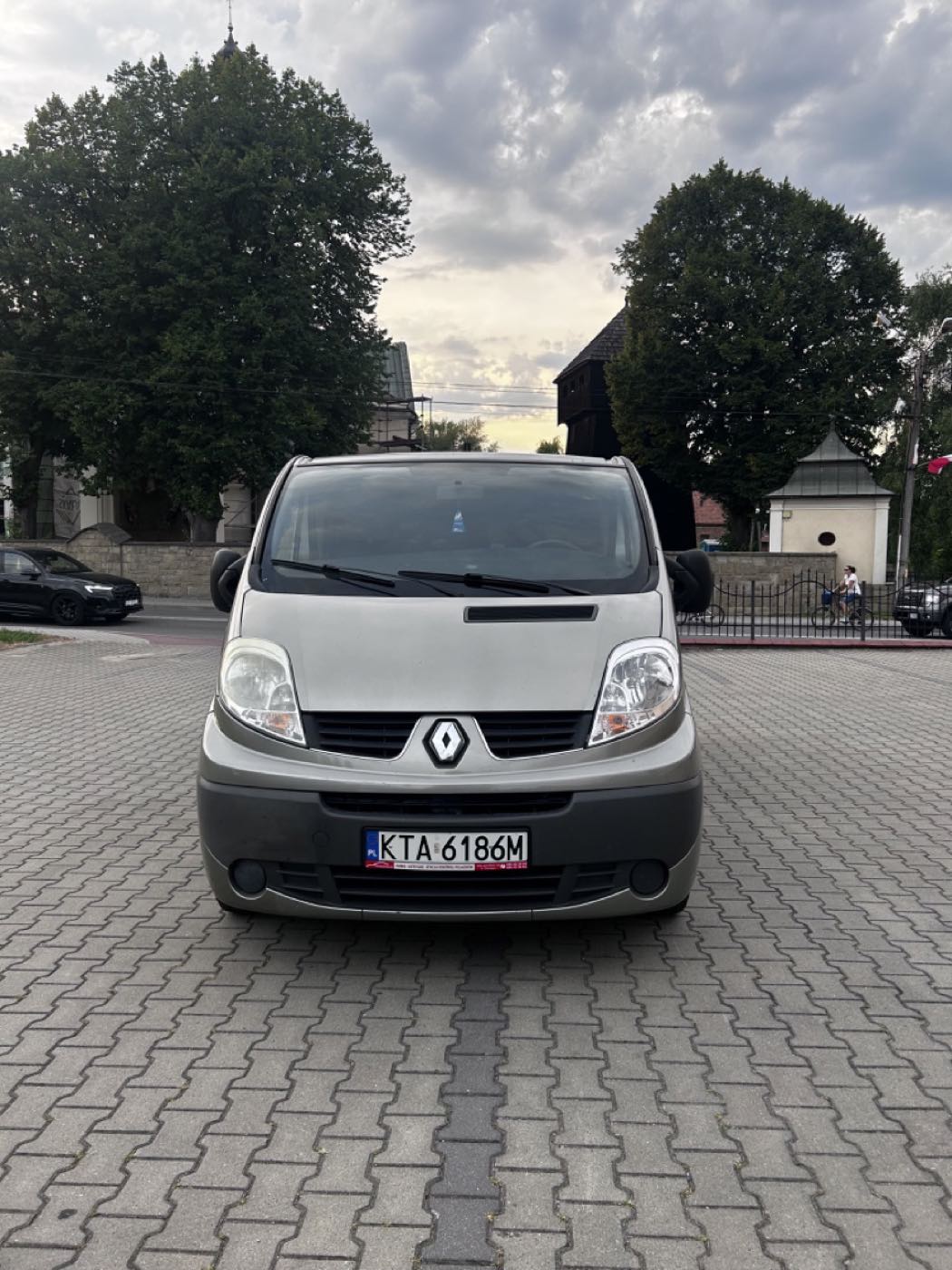 Renault Trafic 9-osobowy - widok z przodu na wprost